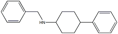 N-benzyl-4-phenylcyclohexan-1-amine 结构式