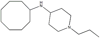 N-cyclooctyl-1-propylpiperidin-4-amine 结构式