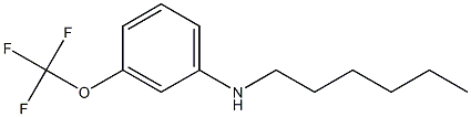 N-hexyl-3-(trifluoromethoxy)aniline 结构式