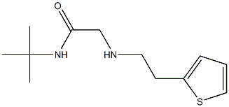 N-tert-butyl-2-{[2-(thiophen-2-yl)ethyl]amino}acetamide 结构式