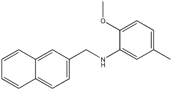 2-methoxy-5-methyl-N-(2-naphthylmethyl)aniline 结构式