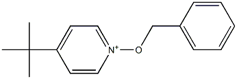 4-tert-Butyl-1-(benzyloxy)pyridin-1-ium 结构式