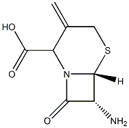 (6R,7R)-7-Amino-3-methylene-8-oxo-5-thia-1-azabicyclo[4.2.0]octane-2-carboxylic acid 结构式
