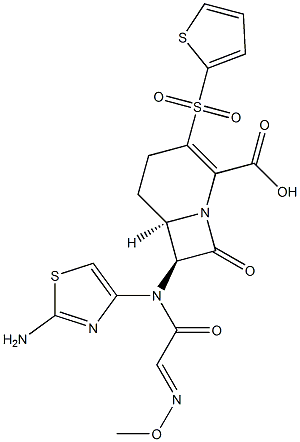 (6R,7S)-3-((2-Thienyl)sulfonyl)-8-oxo-7-[(2-aminothiazol-4-yl)(methoxyimino)acetylamino]-1-azabicyclo[4.2.0]oct-2-ene-2-carboxylic acid 结构式