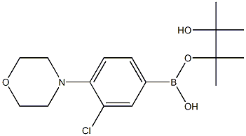 3-氯-4-(4-吗啉基)苯硼酸频哪醇酯 结构式