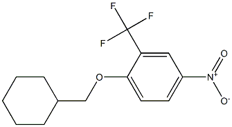 1-(cyclohexylmethoxy)-4-nitro-2-(trifluoromethyl)benzene 结构式