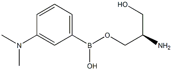 3-(N,N-二甲氨基)苯硼酸频呐醇酯 结构式