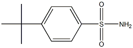 对叔丁基苯磺酰胺 结构式