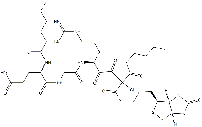 biotinyldicaproyl-glutamyl-glycyl-arginyl-chloromethylketone 结构式