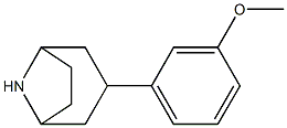 3-(3-methoxyphenyl)-8-azabicyclo[3.2.1]octane 结构式