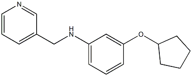 3-(CYCLOPENTYLOXY)-N-((PYRIDIN-3-YL)METHYL)BENZENAMINE 结构式