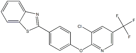 2-(4-{[3-chloro-5-(trifluoromethyl)-2-pyridinyl]oxy}phenyl)-1,3-benzothiazole 结构式