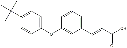 (E)-3-(3-(4-tert-butylphenoxy)phenyl)acrylic acid 结构式