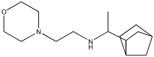 (1-{bicyclo[2.2.1]heptan-2-yl}ethyl)[2-(morpholin-4-yl)ethyl]amine 结构式