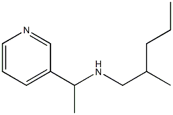 (2-methylpentyl)[1-(pyridin-3-yl)ethyl]amine 结构式