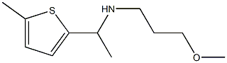 (3-methoxypropyl)[1-(5-methylthiophen-2-yl)ethyl]amine 结构式