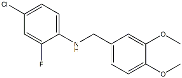 (4-chloro-2-fluorophenyl)(3,4-dimethoxyphenyl)methylamine 结构式