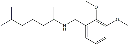 [(2,3-dimethoxyphenyl)methyl](6-methylheptan-2-yl)amine 结构式