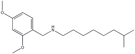 [(2,4-dimethoxyphenyl)methyl](7-methyloctyl)amine 结构式