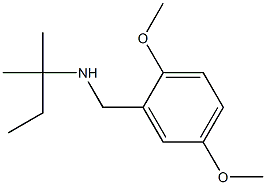 [(2,5-dimethoxyphenyl)methyl](2-methylbutan-2-yl)amine 结构式