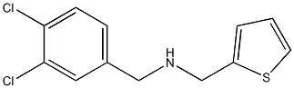 [(3,4-dichlorophenyl)methyl](thiophen-2-ylmethyl)amine 结构式