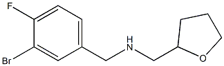 [(3-bromo-4-fluorophenyl)methyl](oxolan-2-ylmethyl)amine 结构式
