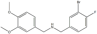 [(3-bromo-4-fluorophenyl)methyl][(3,4-dimethoxyphenyl)methyl]amine 结构式