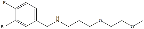 [(3-bromo-4-fluorophenyl)methyl][3-(2-methoxyethoxy)propyl]amine 结构式