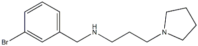 [(3-bromophenyl)methyl][3-(pyrrolidin-1-yl)propyl]amine 结构式