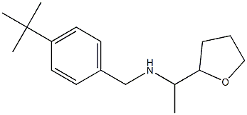 [(4-tert-butylphenyl)methyl][1-(oxolan-2-yl)ethyl]amine 结构式