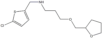 [(5-chlorothiophen-2-yl)methyl][3-(oxolan-2-ylmethoxy)propyl]amine 结构式
