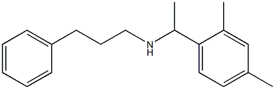 [1-(2,4-dimethylphenyl)ethyl](3-phenylpropyl)amine 结构式