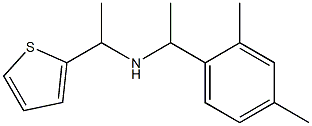 [1-(2,4-dimethylphenyl)ethyl][1-(thiophen-2-yl)ethyl]amine 结构式