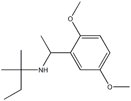 [1-(2,5-dimethoxyphenyl)ethyl](2-methylbutan-2-yl)amine 结构式