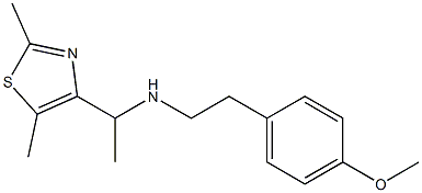 [1-(2,5-dimethyl-1,3-thiazol-4-yl)ethyl][2-(4-methoxyphenyl)ethyl]amine 结构式