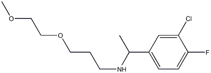 [1-(3-chloro-4-fluorophenyl)ethyl][3-(2-methoxyethoxy)propyl]amine 结构式
