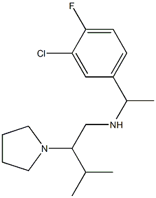 [1-(3-chloro-4-fluorophenyl)ethyl][3-methyl-2-(pyrrolidin-1-yl)butyl]amine 结构式