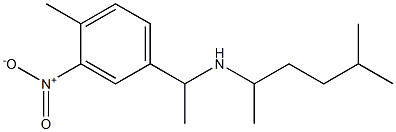 [1-(4-methyl-3-nitrophenyl)ethyl](5-methylhexan-2-yl)amine 结构式