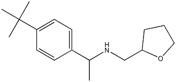 [1-(4-tert-butylphenyl)ethyl](oxolan-2-ylmethyl)amine 结构式