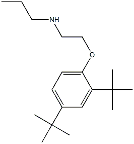 [2-(2,4-di-tert-butylphenoxy)ethyl](propyl)amine 结构式