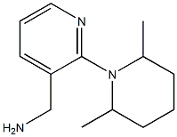 [2-(2,6-dimethylpiperidin-1-yl)pyridin-3-yl]methylamine 结构式