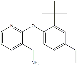 [2-(2-tert-butyl-4-ethylphenoxy)pyridin-3-yl]methanamine 结构式
