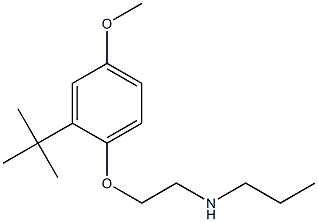 [2-(2-tert-butyl-4-methoxyphenoxy)ethyl](propyl)amine 结构式