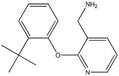 [2-(2-tert-butylphenoxy)pyridin-3-yl]methylamine 结构式