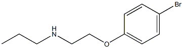 [2-(4-bromophenoxy)ethyl](propyl)amine 结构式