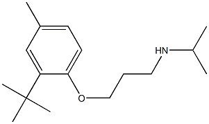 [3-(2-tert-butyl-4-methylphenoxy)propyl](propan-2-yl)amine 结构式