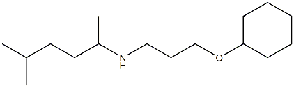 [3-(cyclohexyloxy)propyl](5-methylhexan-2-yl)amine 结构式