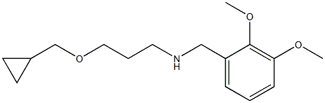 [3-(cyclopropylmethoxy)propyl][(2,3-dimethoxyphenyl)methyl]amine 结构式