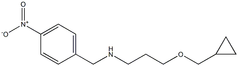 [3-(cyclopropylmethoxy)propyl][(4-nitrophenyl)methyl]amine 结构式