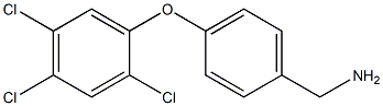 [4-(2,4,5-trichlorophenoxy)phenyl]methanamine 结构式